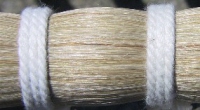 argentine_mare1